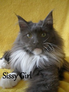 sissy-girl1..jpg